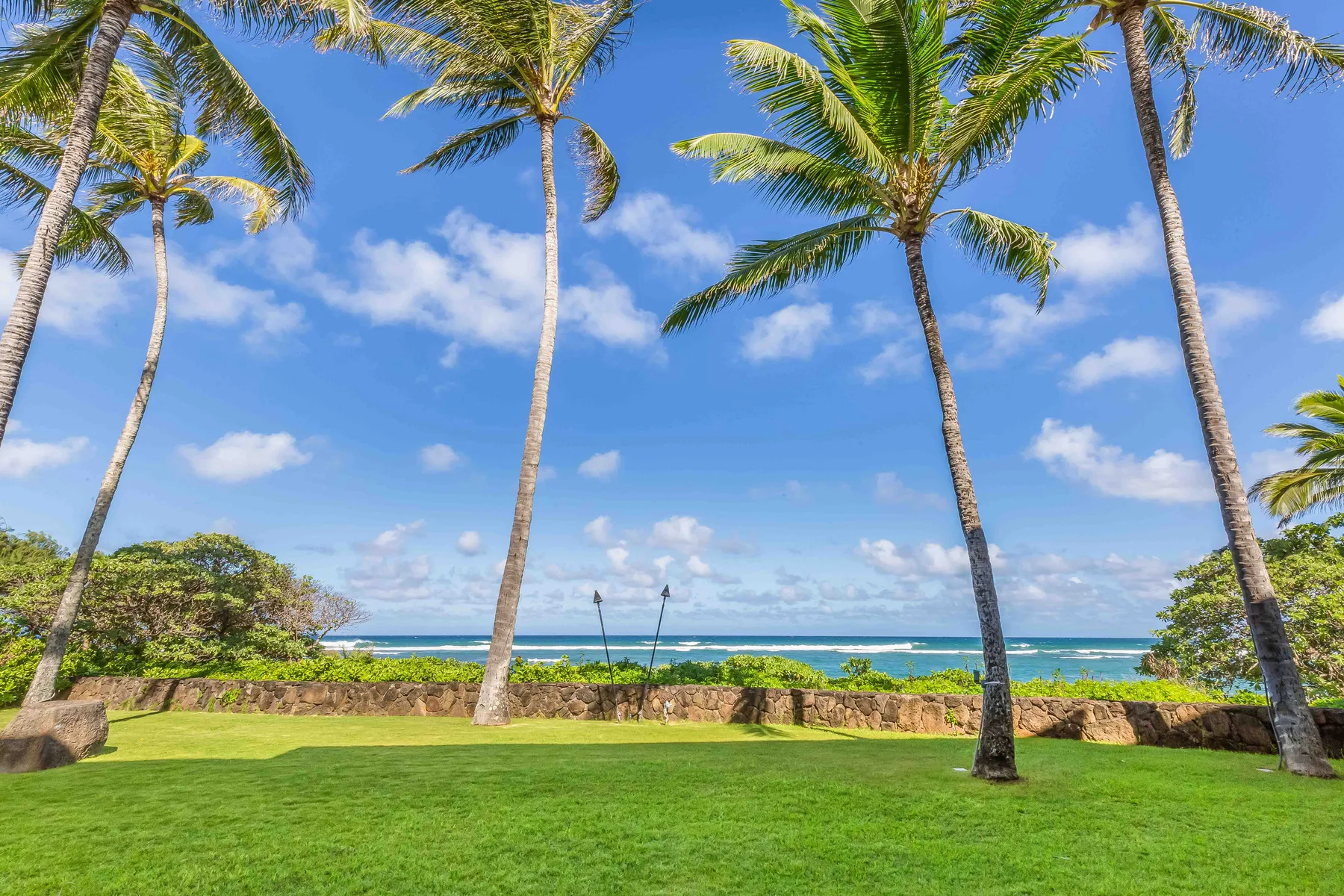 A tropical beachside lawn with palm trees and ocean views.