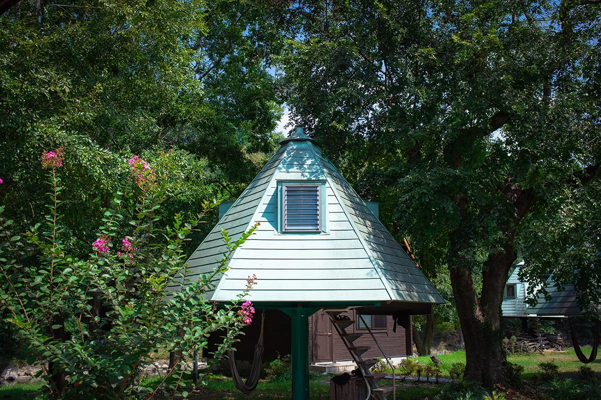 Exterior de la cabaña en el árbol