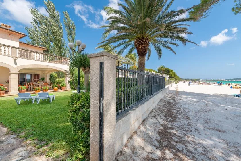 Escena junto a la playa, con una palmera junto a un jardín cercado y la orilla arenosa.