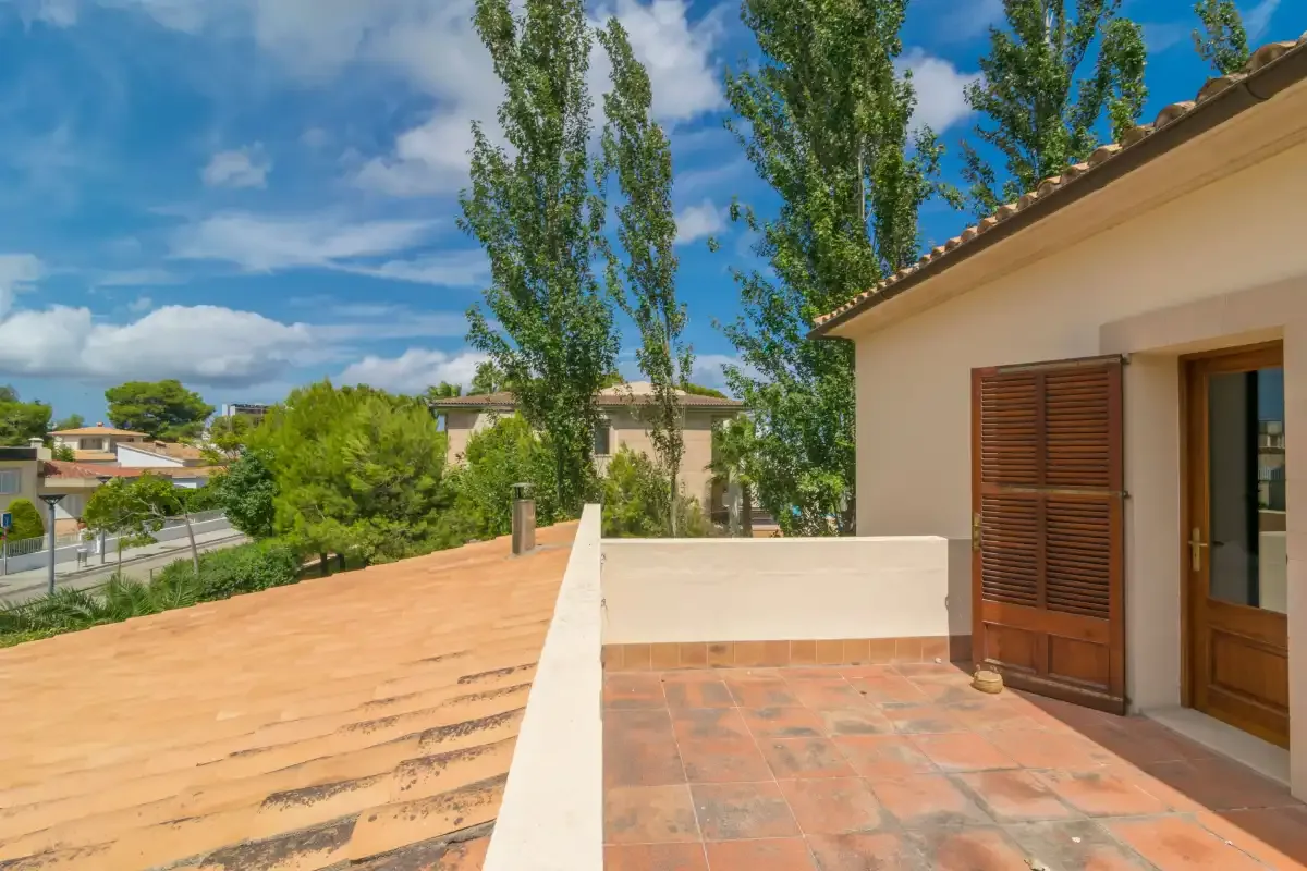 Una terraza soleada junto a un edificio, con árboles y casas vecinas a la vista.