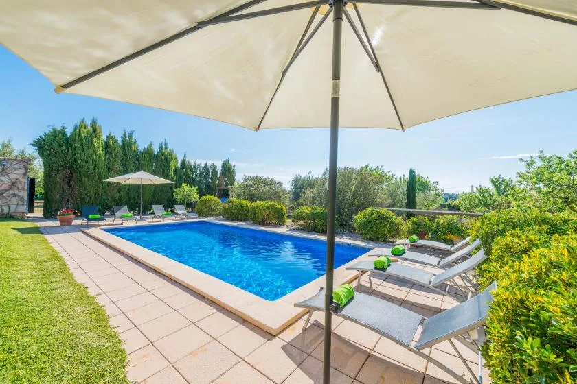 An outdoor swimming pool is surrounded by a paved deck, loungers, and greenery.