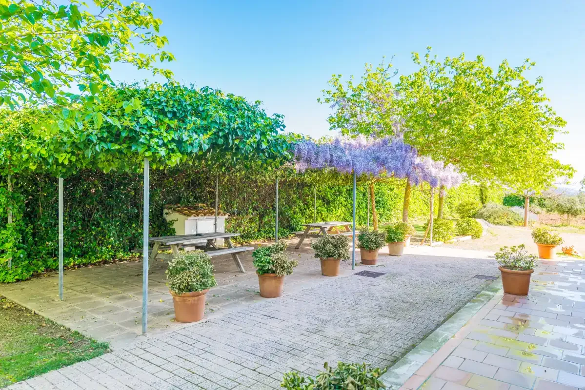A paved outdoor patio has picnic tables beneath a leafy pergola.