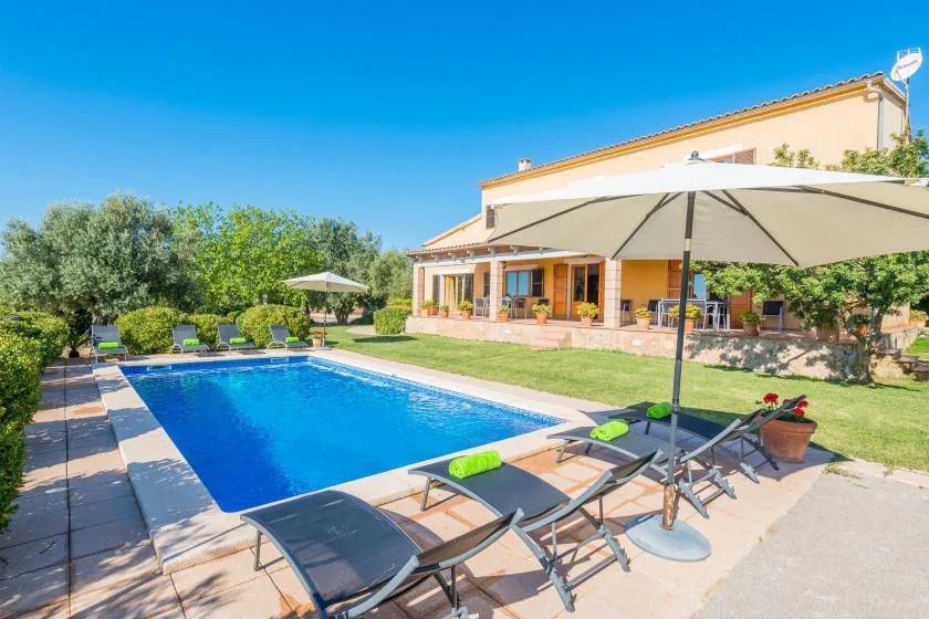 A swimming pool and lounge seating sit beside a landscaped patio.