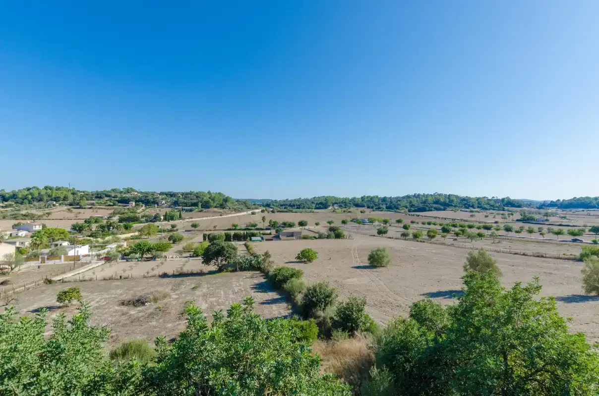 A rural landscape with open fields, scattered trees, and distant buildings.