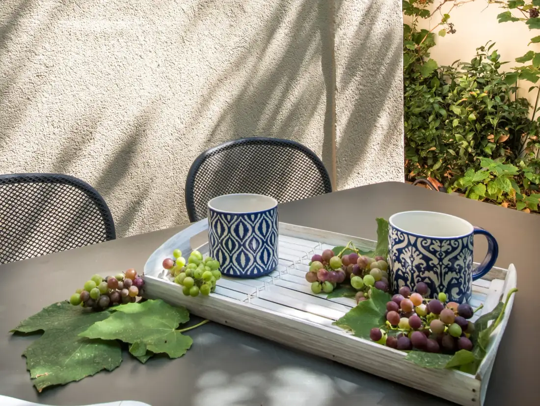 Una mesa de patio junto al jardín tiene dos tazas estampadas y racimos de uvas.