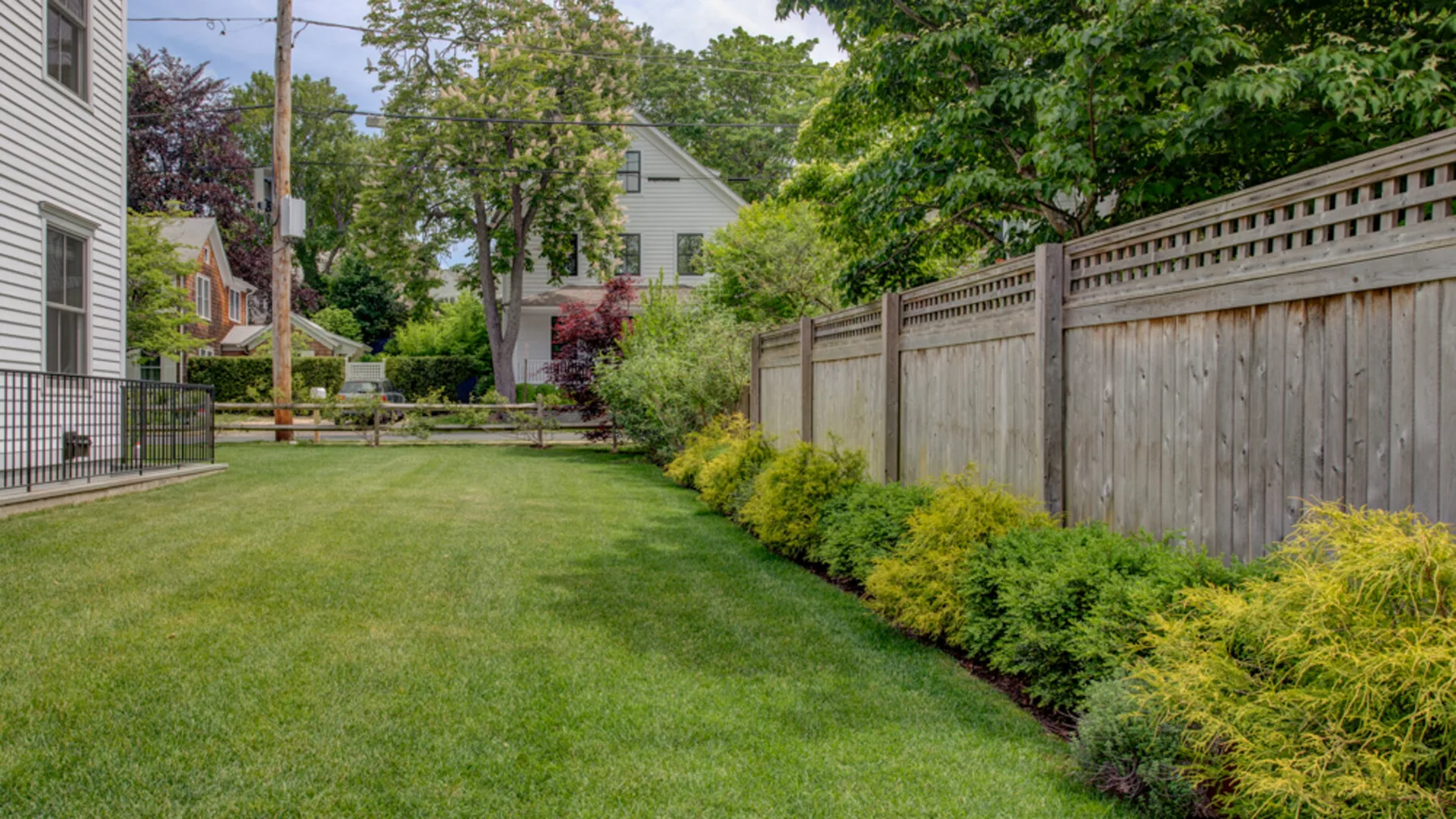 A grassy backyard bordered by a tall wooden fence and shrubs.