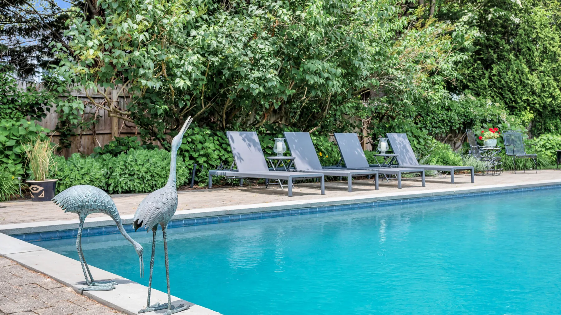 Una piscina al aire libre con asientos reclinables y esculturas decorativas de aves.
