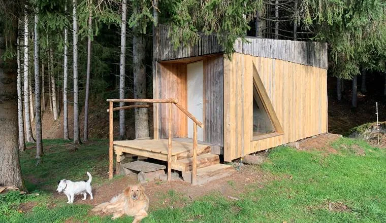 Cabin exterior