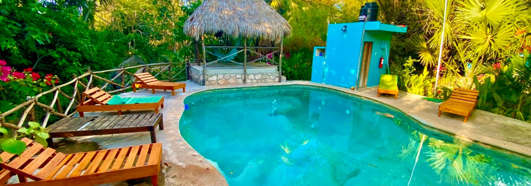 Garden pool