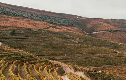 Paisaje de la Quinta