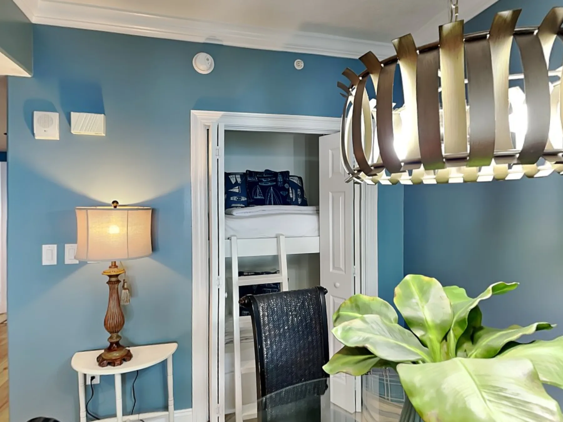 A blue-walled room with an open closet and a leafy plant.