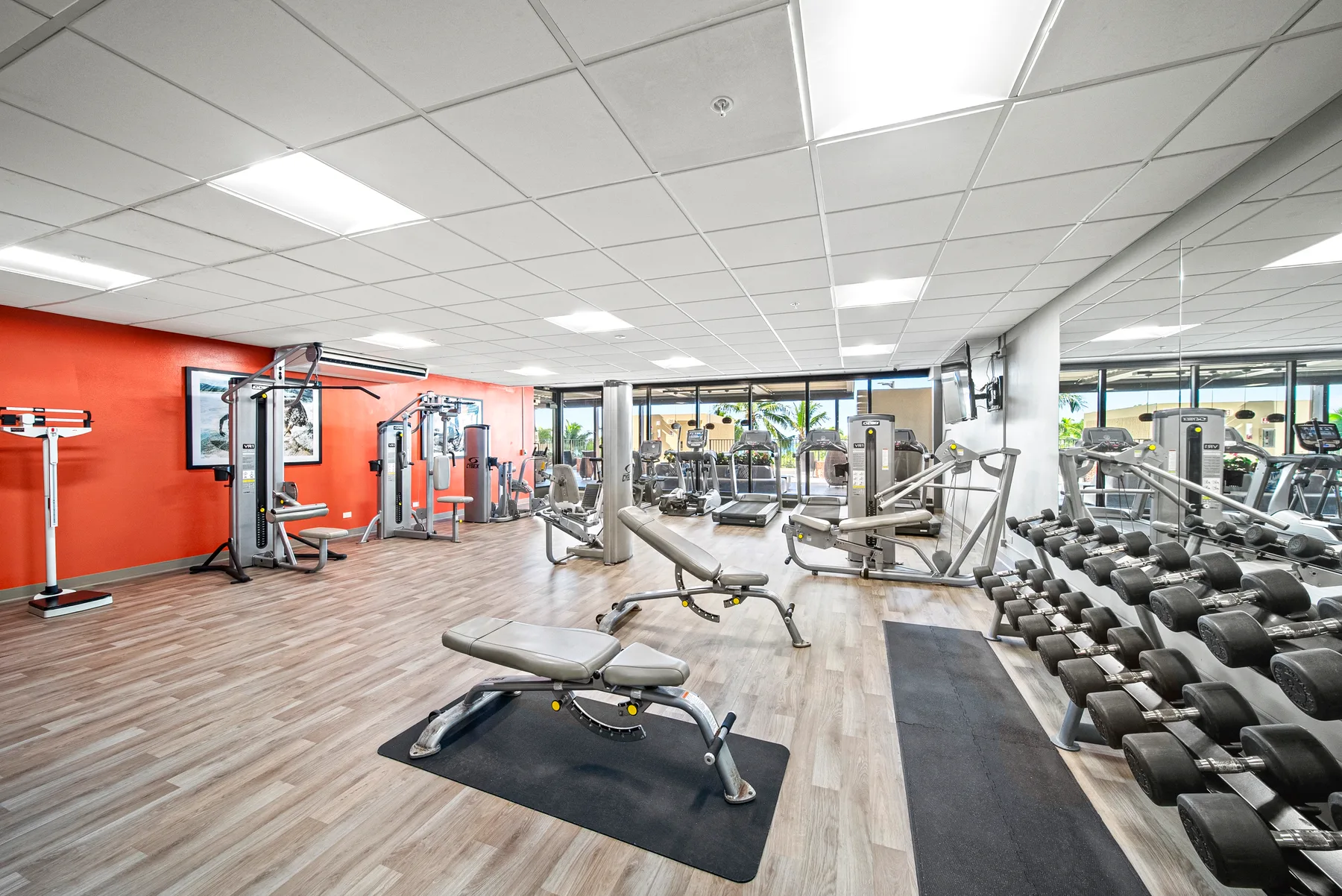 Un gimnasio con bancos de pesas, mancuernas y máquinas de ejercicio.