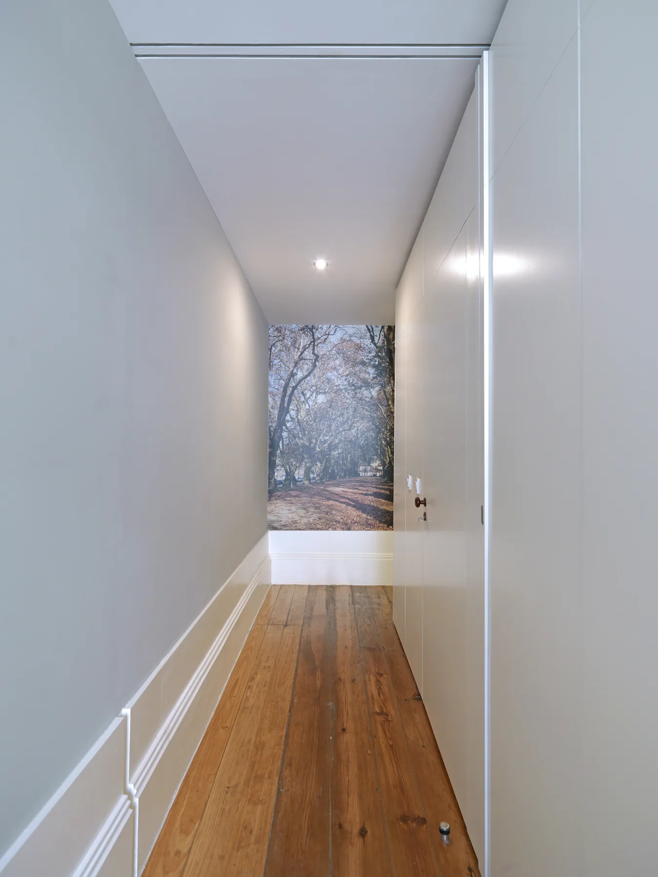 Un pasillo estrecho con suelo de madera conduce a una ventana con vistas a árboles.