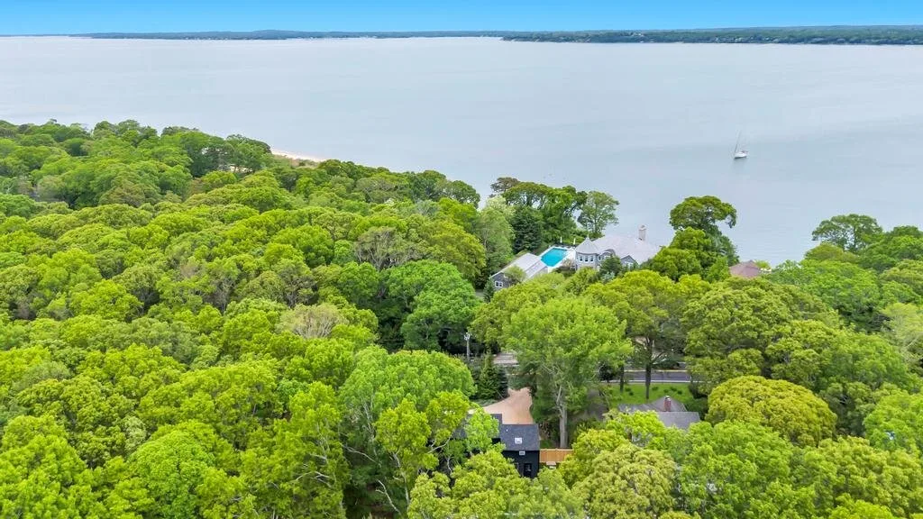 Aerial view of a tree-covered shoreline beside a broad body of water.