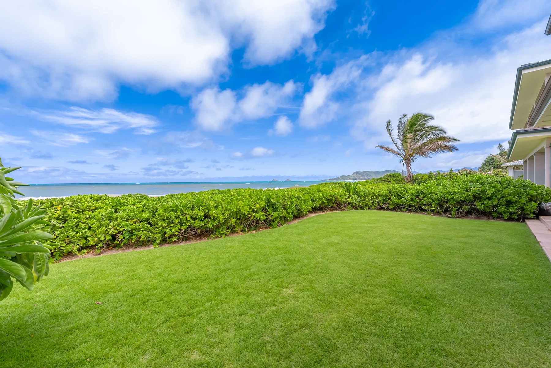 A green lawn and hedge overlook the ocean beside a coastal home.