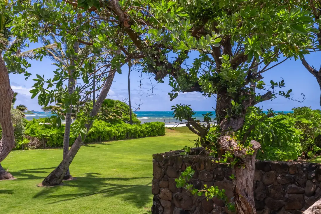 A green garden with mature trees overlooks the ocean.