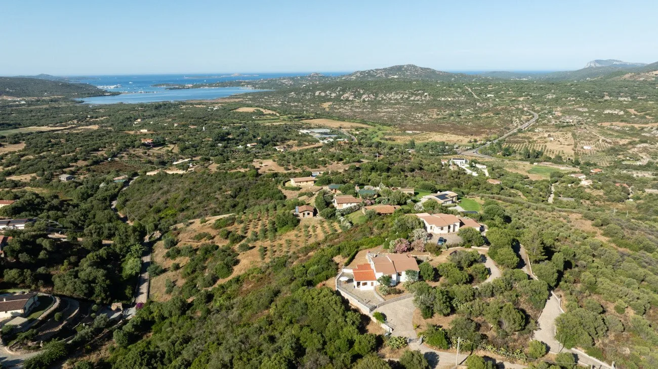 Aerial view of a rural landscape with scattered homes and a distant coastline.