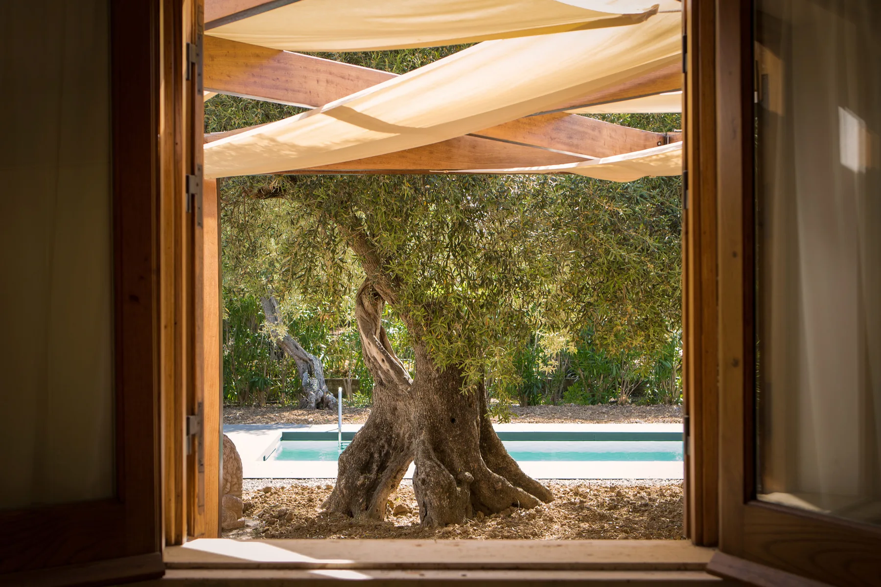 Una puerta abierta enmarca un árbol grande junto a una piscina, bajo un toldo.