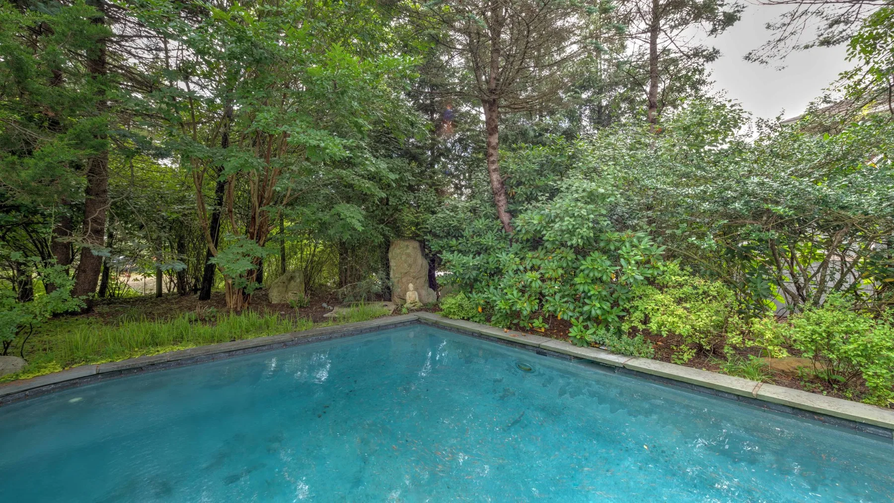 A blue swimming pool surrounded by dense greenery and trees.