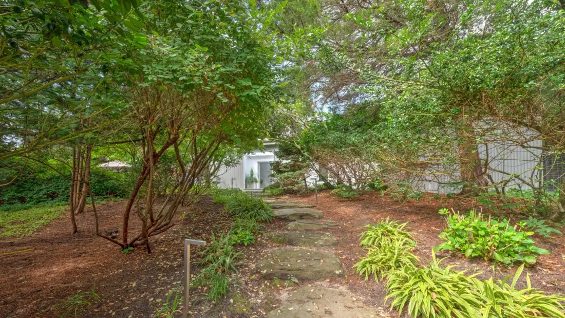 A garden path winds beneath leafy trees and past green plants.
