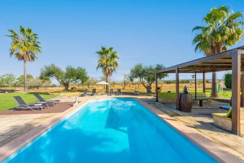 Una piscina junto a un patio sombreado con asientos y palmeras.