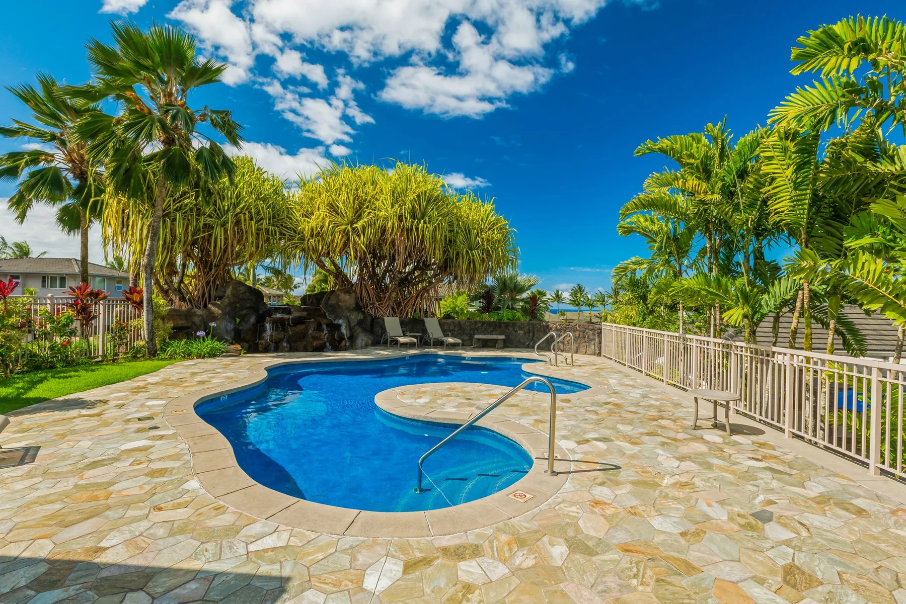 An outdoor swimming pool sits amid palm trees and a stone-paved patio.