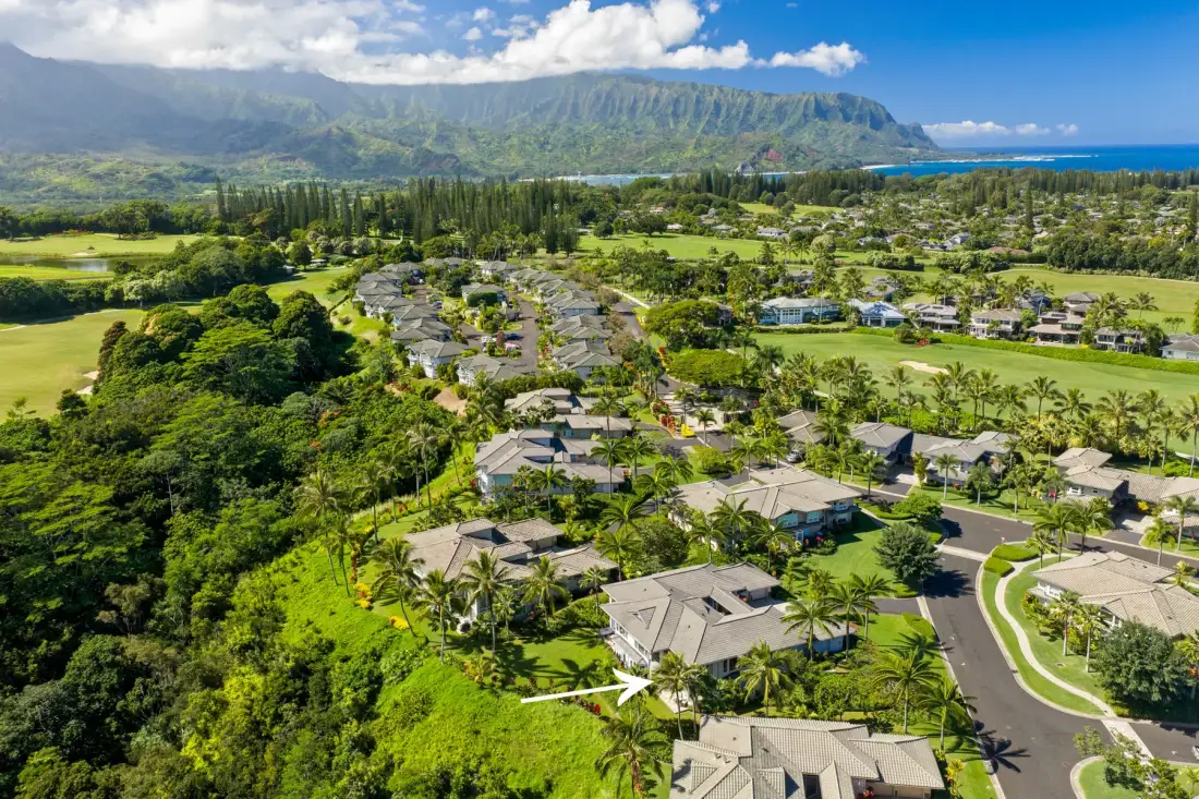 Aerial view of a green residential neighborhood with mountains and coastline in the distance.