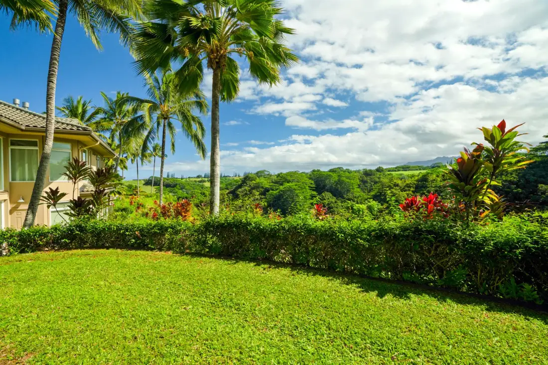 A tropical garden with palm trees and a view of green hills.