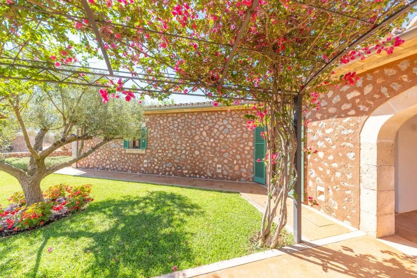 Un patio ajardinado soleado con una pérgola cubierta de flores y muros de piedra.