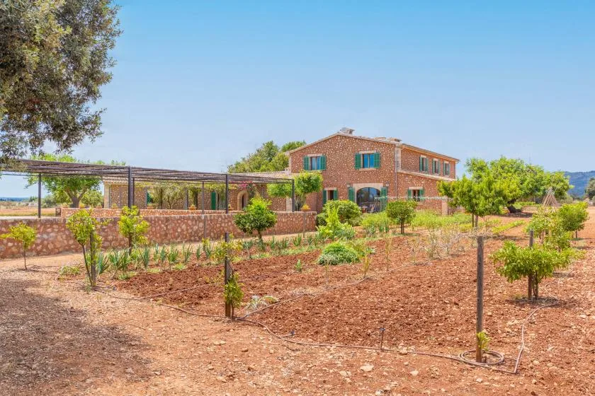 Una casa de ladrillo está detrás de un jardín con hileras de árboles jóvenes.