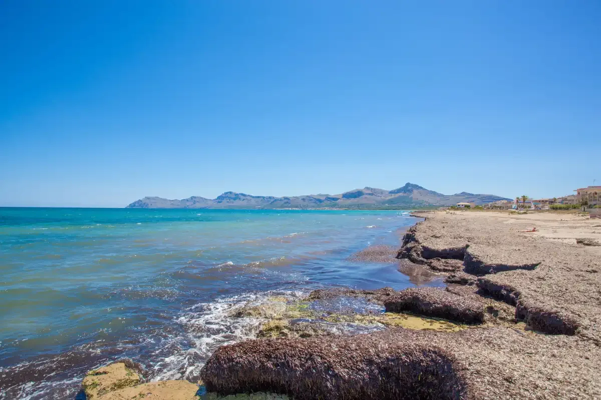 A rocky shoreline borders clear blue water beneath a bright, open sky.