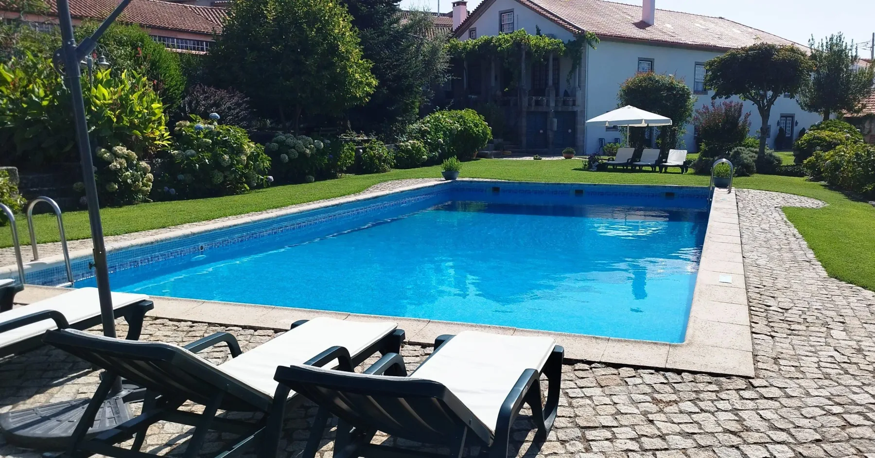 Garden and pool