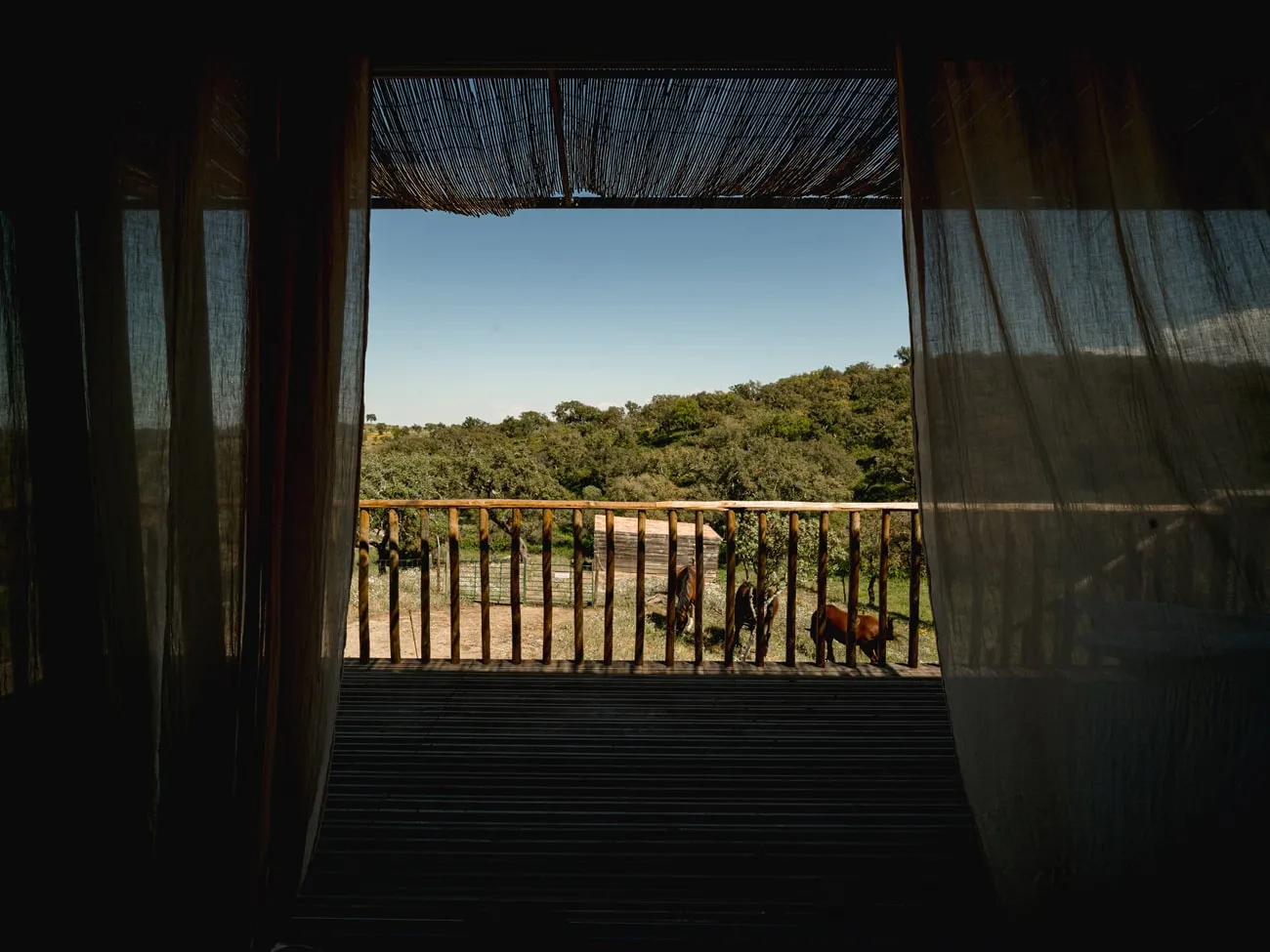 Suite júnior, Taaras