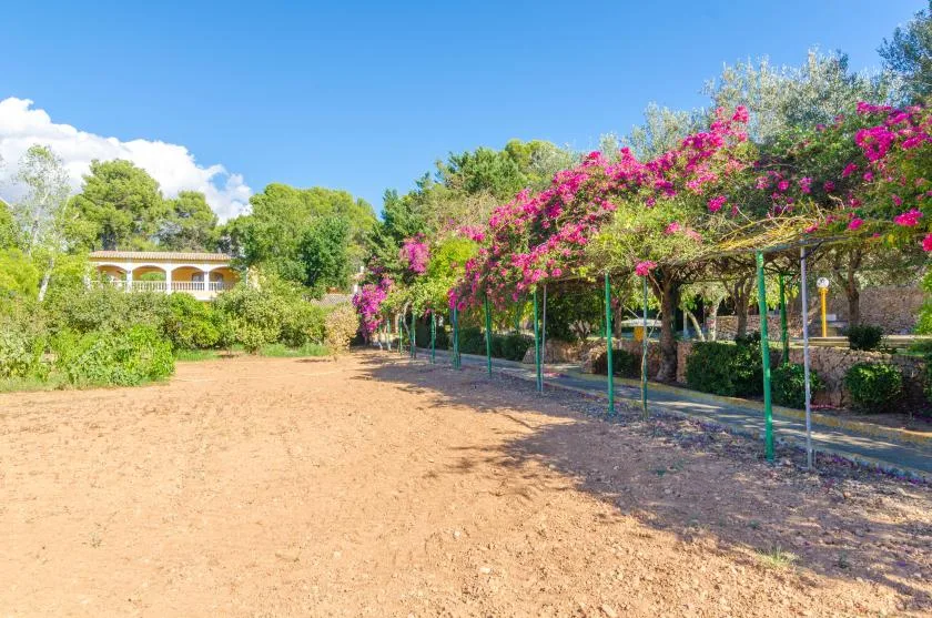 A sunny garden path runs beneath a pergola covered in bright pink flowers.