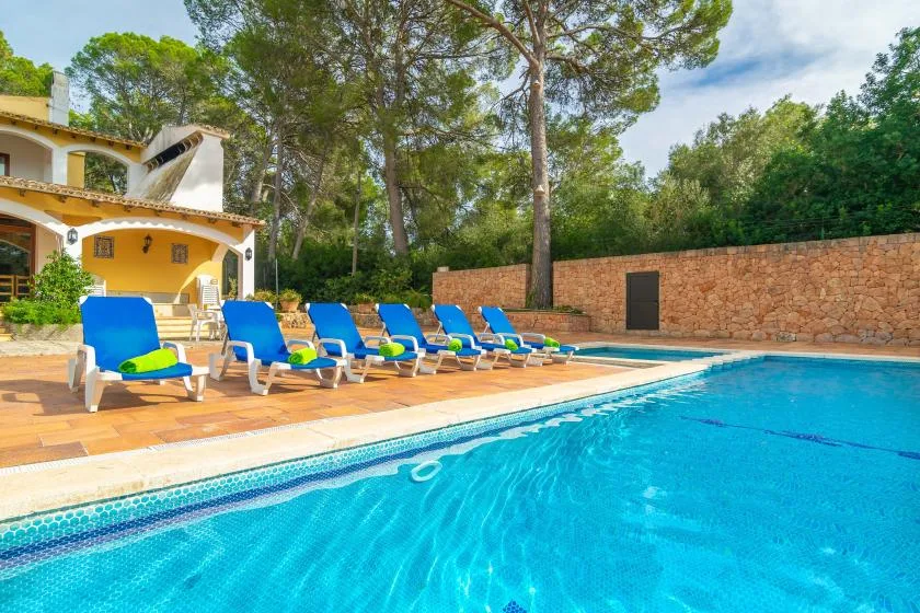 A swimming pool beside a paved terrace with blue loungers and trees.