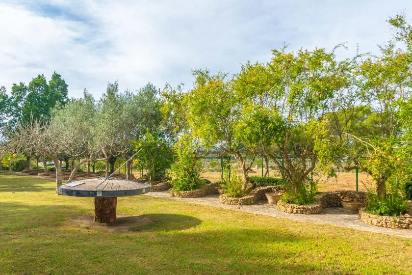 A landscaped garden with trees, shrubs, and a small raised circular platform.