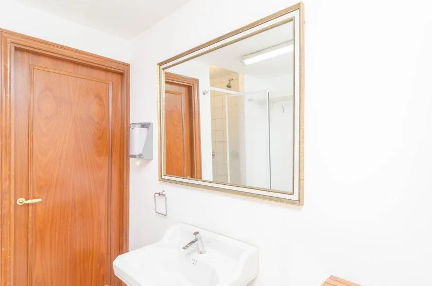 A bathroom sink and mirror are beside a wooden door.