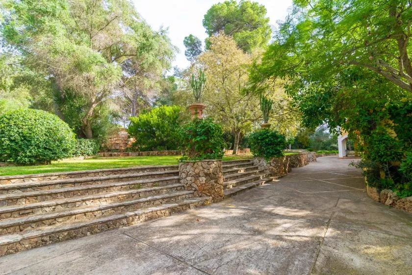 A paved garden path passes stone steps and lush greenery.