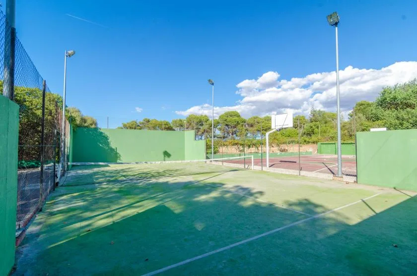 An outdoor basketball court with green playing surfaces and a hoop.