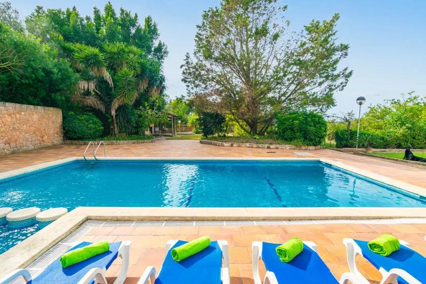 An outdoor swimming pool with blue lounge chairs and greenery around the deck.