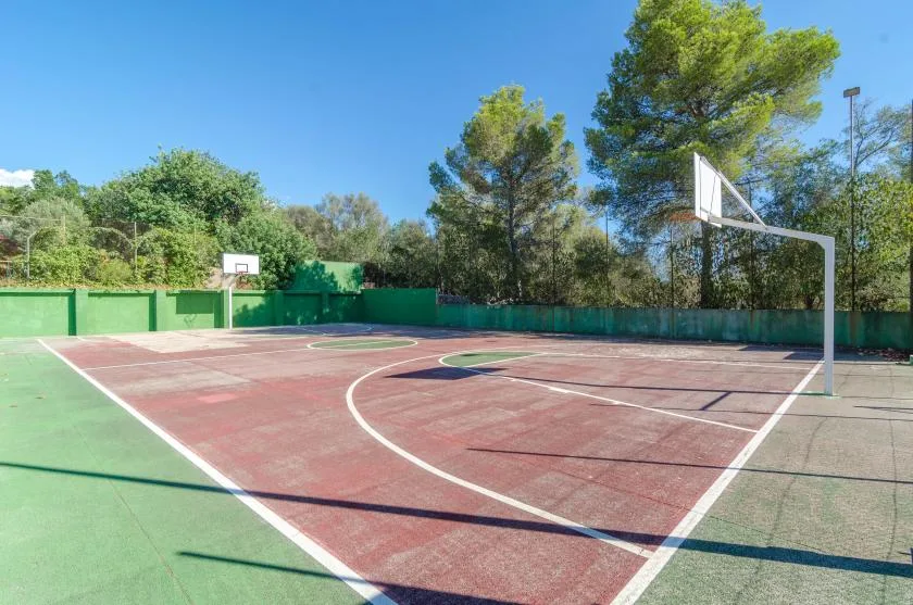 An outdoor basketball court with green borders and trees behind it.