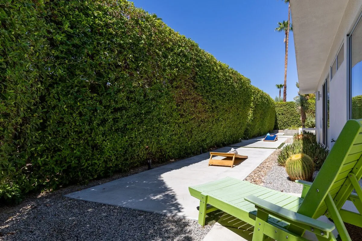 Modern Desert Oasis