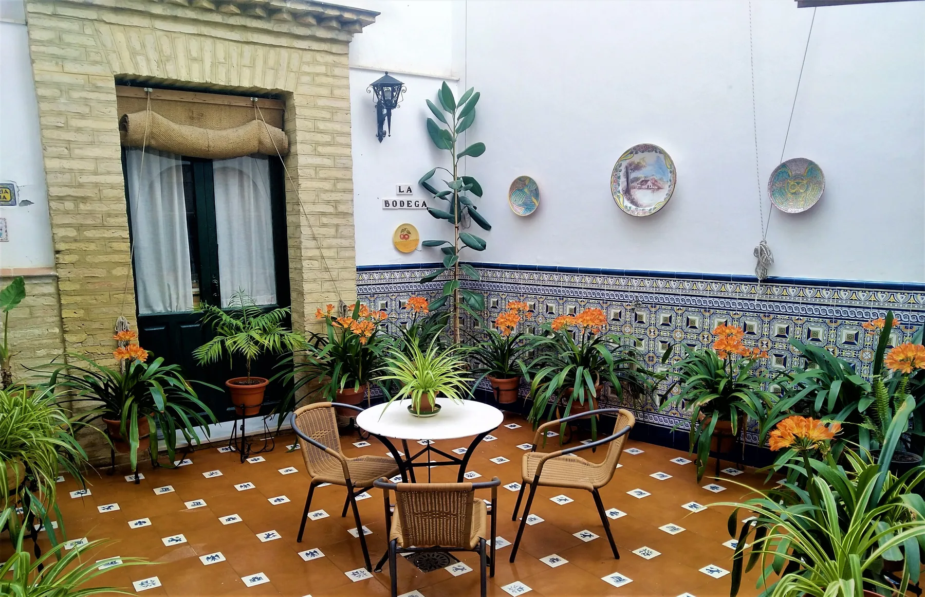 Andalusian patio