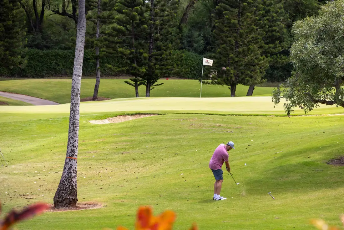 Un golfista golpea la pelota en un campo de golf cerca del green.