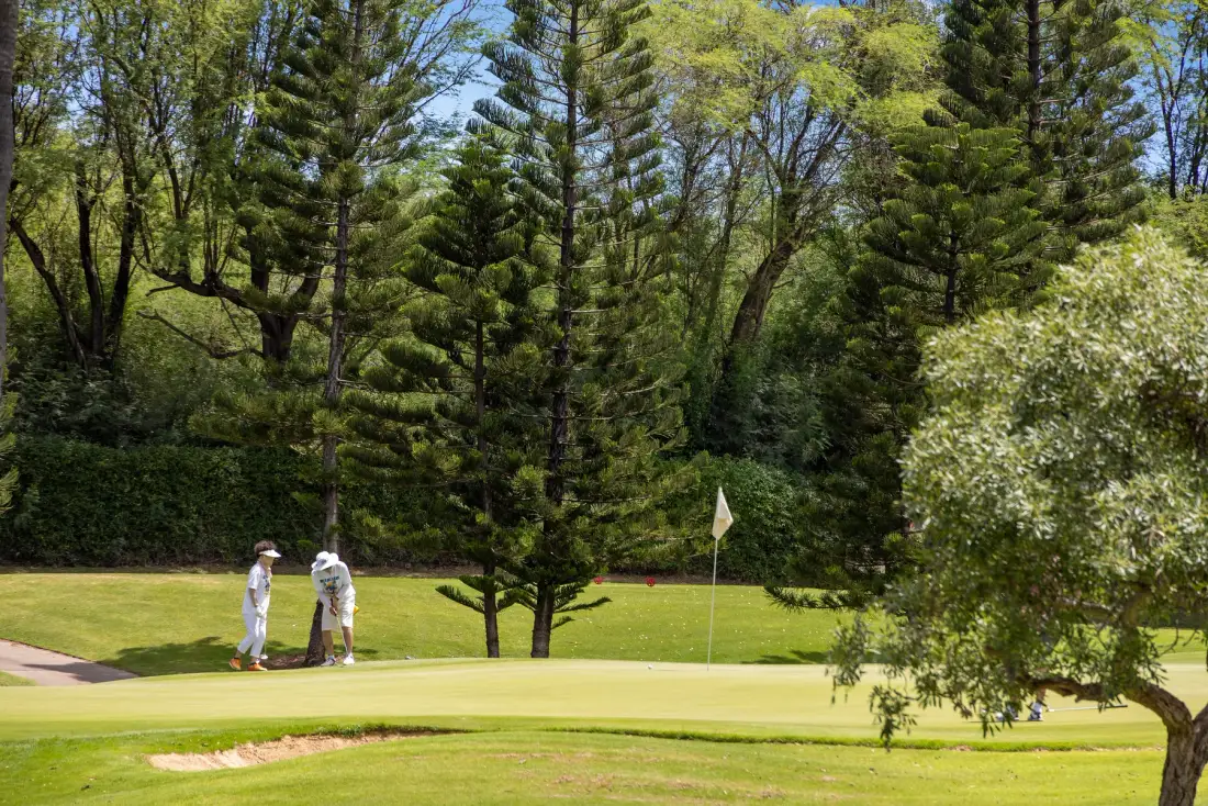 Un green de golf rodeado de árboles, con dos golfistas cerca de la bandera.