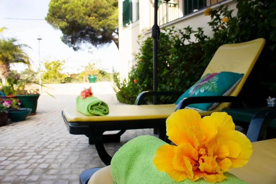 Guesthouse garden with sun loungers