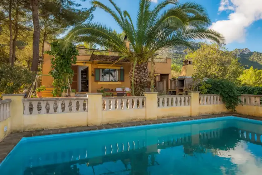 A house and palm trees stand behind a turquoise swimming pool.