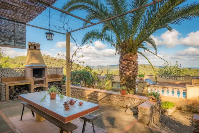 An outdoor patio has a dining table, a built-in barbecue, and a palm tree.