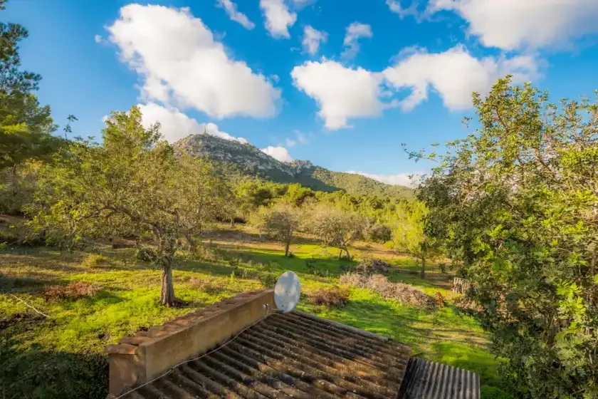 Paisaje arbolado con colinas, campos verdes y un tejado de tejas en primer plano.