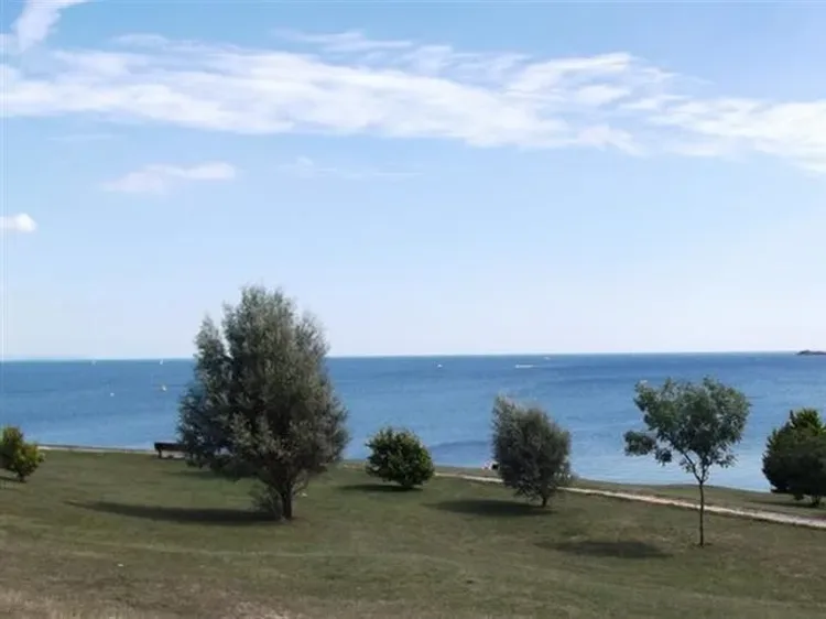 A grassy coastal area with scattered trees overlooks the sea.